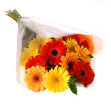 Yellow & Red Gerberas Bouquet