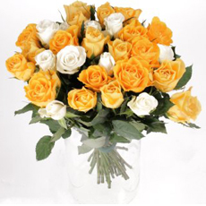 Bunch of 24 yellow & white Roses