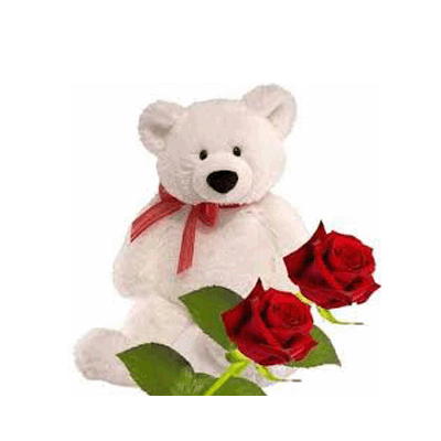 A lovely rose,Teddy bear